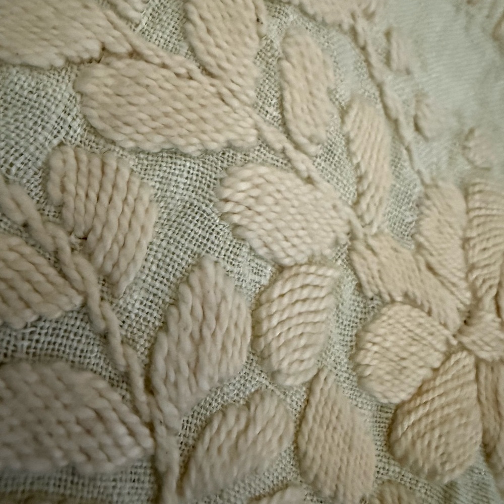 🌸 NWT! Anthropologie Raga Embroidered Crop Top - Picture 4 of 9